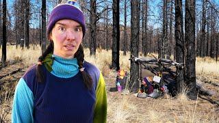 I Tried An Overnight Bushcraft Survival Challenge!