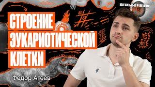 Строение эукариотической клетки | Биология ОГЭ – Федор Агеев | 100балльный