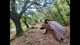 Abandoned Gold Mine Overloaded With Quartz & Crystals