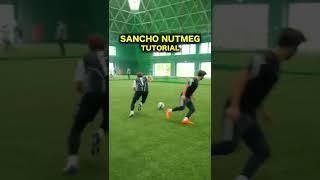 SANCHO NUTMEG TUTORIAL