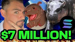 MOODENG Meme Coin MILLIONS! (Turning $800 Into $7.5 Million!!!) Can Moo Deng On Solana Still 10X?