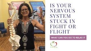 Is Your Nervous System Stuck in Fight or Flight & What Can You Do to Relax It