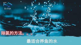 养鱼技术 最适合养鱼的水 | 如何去除氯 | 自来水适合养鱼吗？| 养鱼最好的水 | 地下水可以养鱼吗？