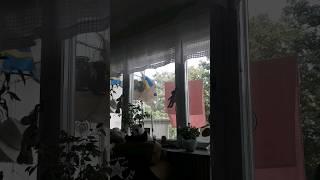 а Я покинул Чат с Нашим МироМ   @klavacoca