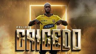 LLEGÓ A CUMPLIR SU SUEÑO | FELIPE CAICEDO 