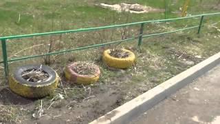 Рязань завалили отработанными автомобильными шинами