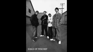 Souls of Mischief - 93`til infinity