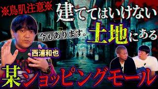 【鳥肌注意】西浦和也/現存する“建ててはいけない”土地にあるショッピングモール【ナナフシギ】