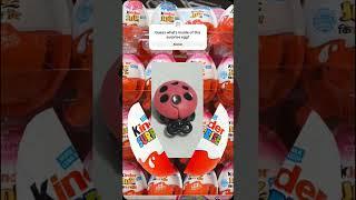 Kinder Joy Toy Collector