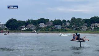 Dog rides electric surfboard with owner in Massachusetts river