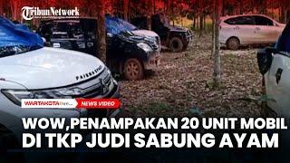 WOW,Penampakan 20 Unit Mobil Barang Bukti yang Tertinggal di TKP Judi Sabung Ayam,3 Polisi Tertembak
