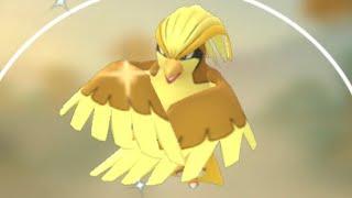 Pokémon Go:  Shiny Pidgeot From Go Snapshot!