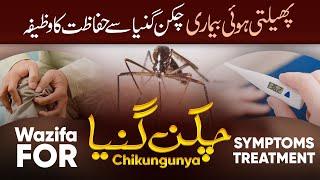 Chikungunya Virus Se Hifazat Ka Wazifa | Wazifa For Joint Pain | Rohani Ilaj Aur Istekhara