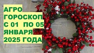 ПЯТЬ СЕКРЕТОВ УСПЕХА В ПЕРВЫХ ДНЯХ ЯНВАРЯ 2025 ГОДА