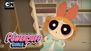 The Powerpuff Girls | The Secret Life of Blossom | Cartoon Network