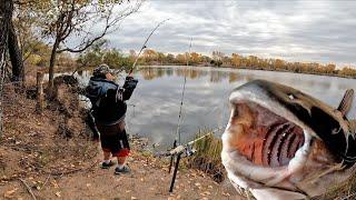 My Fishing Buddy Catches Big Catfish While Fall Catfishing!