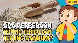 Apa Perbedaan Tepung Terigu dan Tepung Gandum - Fakta Menarik