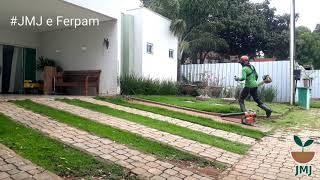 Passo a passo  de uma manutenção de jardim em condomínio # manutenção  #jadim # jardim em casa