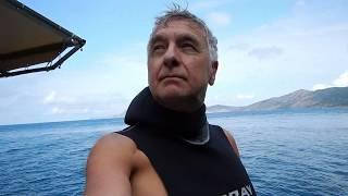 Dives in the Balaklava Bay area