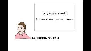 Présentation de la chaîne "Le cours de bio"