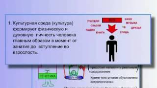 Культура. Её влияние на формирование человека. Период влияния от зачатия до взрослости (§ 5.85)