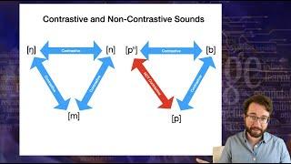 Introduction to Linguistics: Phonology 1