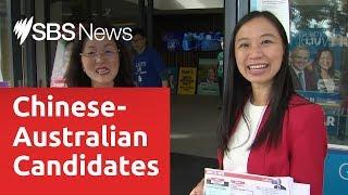 The Chinese-Australian candidates hoping to boost cultural diversity in parliament