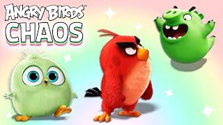 Angry Birds | Colorful Chaos - Special Compilation