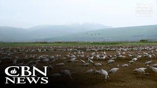 Northern Israelis Seek to Restore Nature Preserves after Hezbollah Rocket Destruction