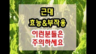 근대 효능과 부작용 잘 알고 드셔야해요~