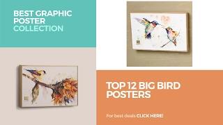 Top 12 Big Bird Posters // Best Graphic Poster Collection