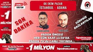 06 Ekim 2024 // SON DAKİKA - İstanbul - Adana // Yener Çelik - Hakan Çakmak