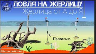 ЖЕРЛИЦА на ЩУКУ и др. Где и как ловить? ЗНАЙ И ЛОВИ. Школа рыбалова.