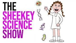 Welcome to The Sheekey Science Show.