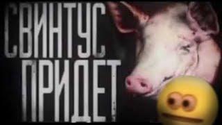 смешные не мемы, а она.