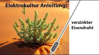 Elektrokultur Anleitungsvideo: Der verzinkte Eisendraht mit Magnet