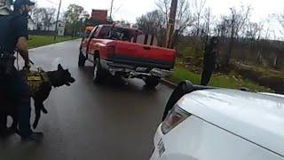 BODYCAM | Toledo police arrest man whose vehicle was falsely flagged as stolen by plate reader