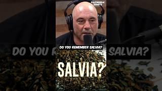 Joe Rogan Remembers Salvia 