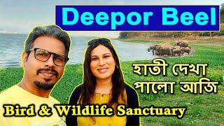 Explore the Deepor Beel Wildlife Sanctuary  / Dipor Bil a lost paradise Assam / #tairabikramvlogs