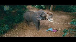 Elephant Crying Badly to Make Friendship With Yash | Very Emotional Scene From Gajakesari Movie