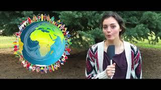 Volkswagen Corporate Social Responsibility - Brigham Young University Organizational Behavior 2017