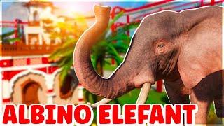 NY INDGANG, UDSTILLINGER OG ALBINO ELEFANT! | Planet Zoo: Juveldanzoo #19