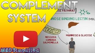 Complement System Made Easy- Immunology- Classical Alternate & Lectin pathway