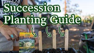 Harvest Fresh Produce All Season! This Is The Best Succession Planting Rundown Yet