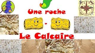 Une roche - Le calcaire [Minute géologique #17]