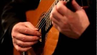 Rodrigo Concierto de Aranjuez: 1st movement.mpg