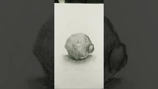 lemon realistic pencil sketch