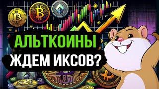 Альты продолжат рост? Какие альткоины рассмотреть к покупке? Открыт набор в Закрытый Клуб