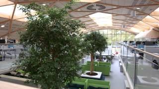 WWF UK HQ: How Cisco and Dimension Data delivered a sustainable workplace