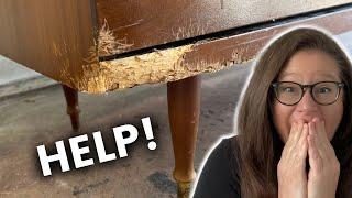 How to repair doggie damage | Before & After Furniture Transformation